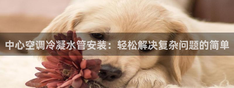 天辰娱乐文化
