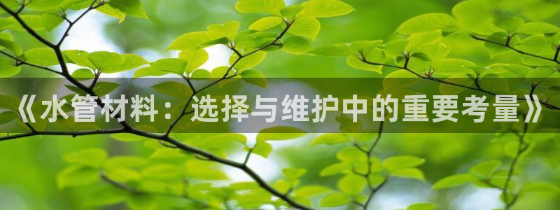 天辰娱乐股票