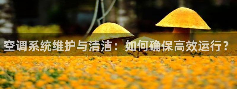 天辰娱乐 231639