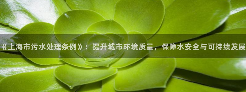 天辰娱乐上级