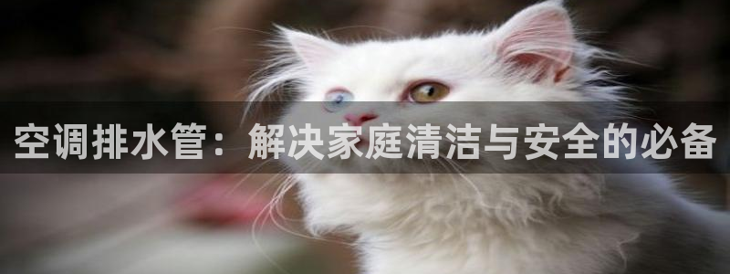 天辰娱乐 849852