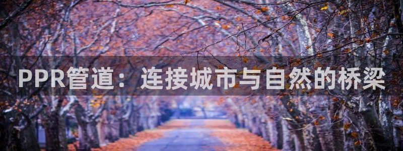 天辰娱乐链接