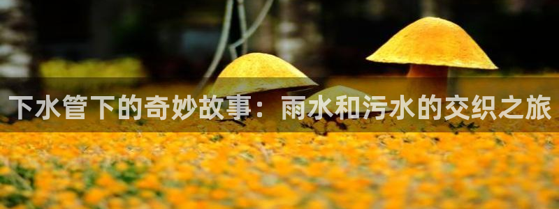 天辰娱乐 天辰平台