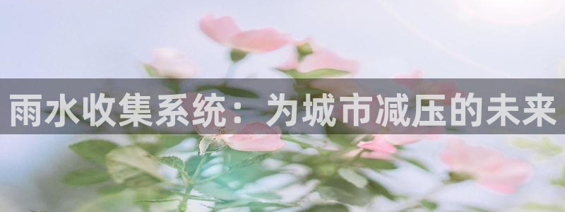 菲律宾天辰娱乐