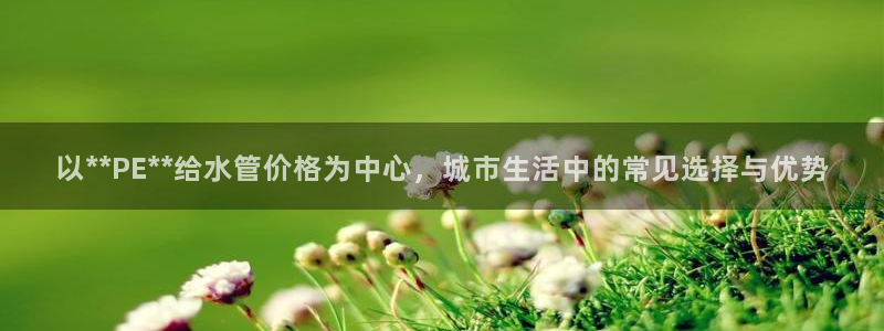 菲律宾天辰娱乐