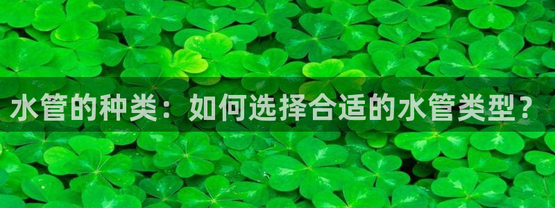 天辰娱乐39974神