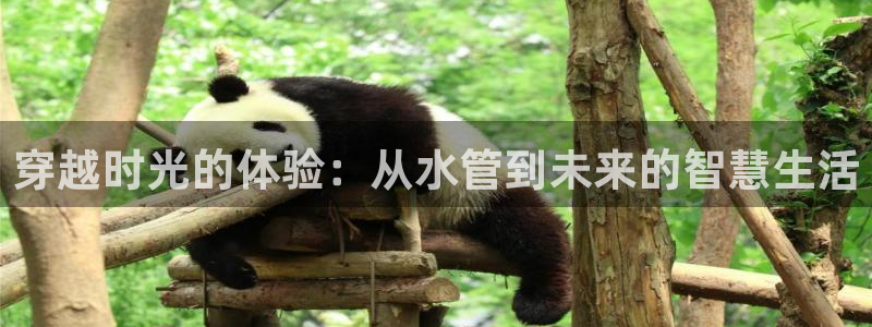 天辰团队贝高娱乐